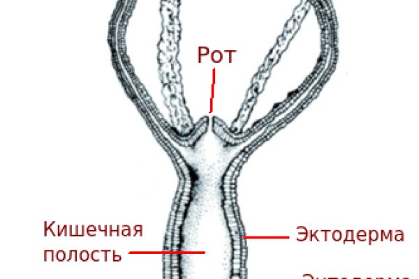 Kraken вывод денег